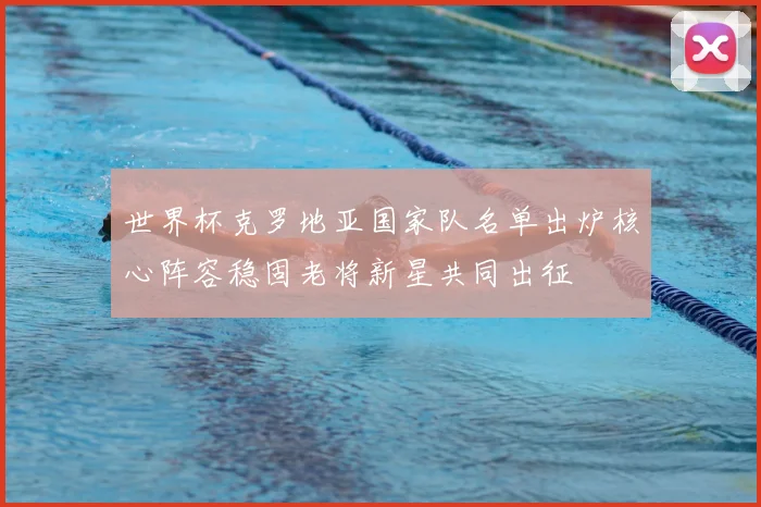 世界杯克罗地亚国家队名单出炉核心阵容稳固老将新星共同出征