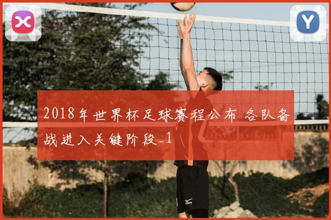 2018年世界杯足球赛程公布 各队备战进入关键阶段_1